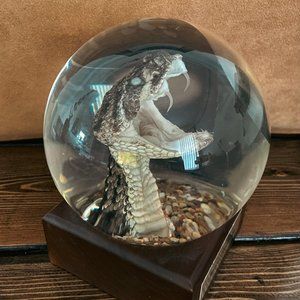 Wet Specimen Diamondback Rattlesnake Globe Dark Academia Occult
